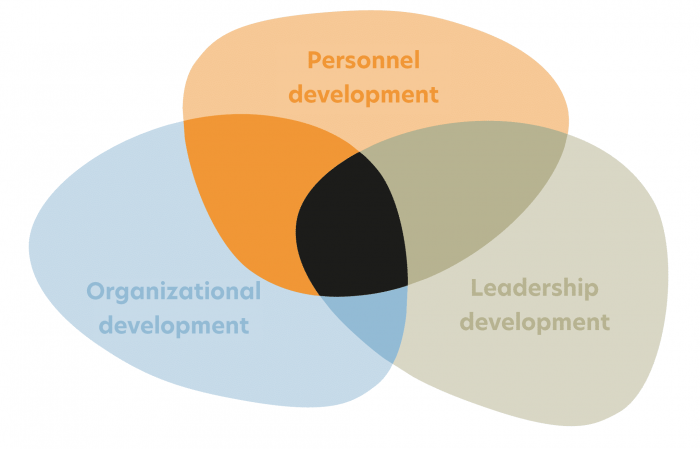 Focus of our work - Neuland Development